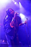 NIK_60377 Rocky 25-11-2017 (Zz) (p)
